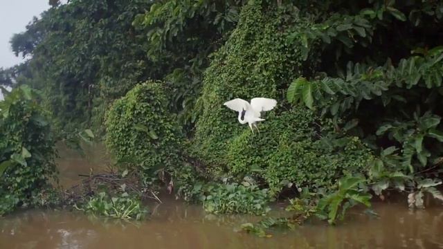 Malaysia - Two-Part Country. Малайзия - страна из двух частей.