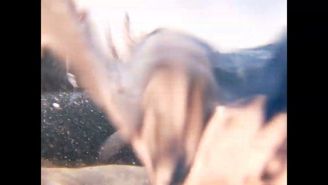 Египет  Обзор отеля Queen Sharm  Часть 2