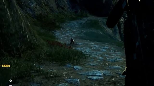 Let's Play Far Cry 4: Weird Things in Game смотреть онлайн