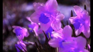 Ты не бойся преткновений на пути