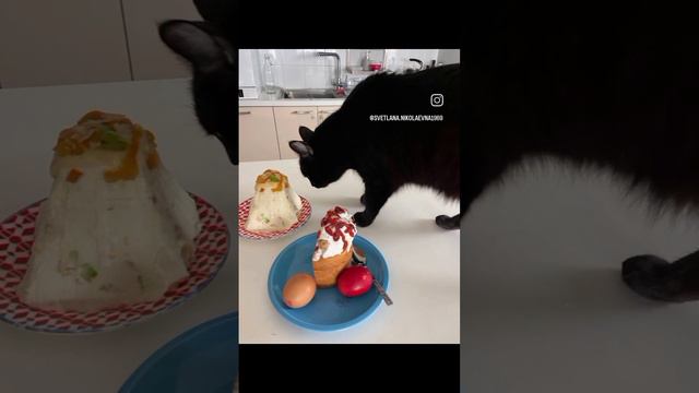 Пасха и кот Бэтмен, животные