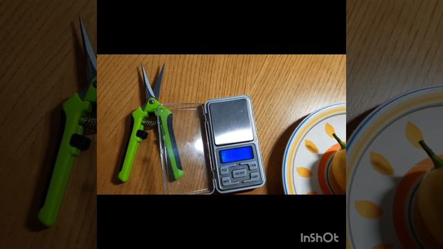 Мейер ли это? смотреть онлайн