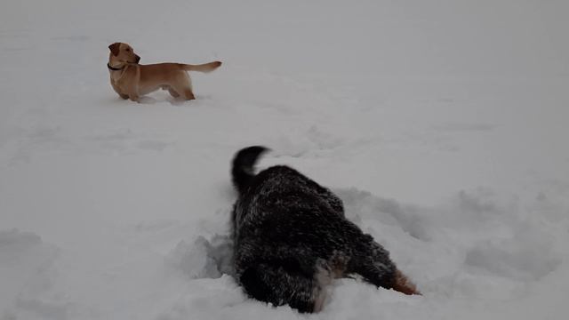20231215_155909 смотреть онлайн
