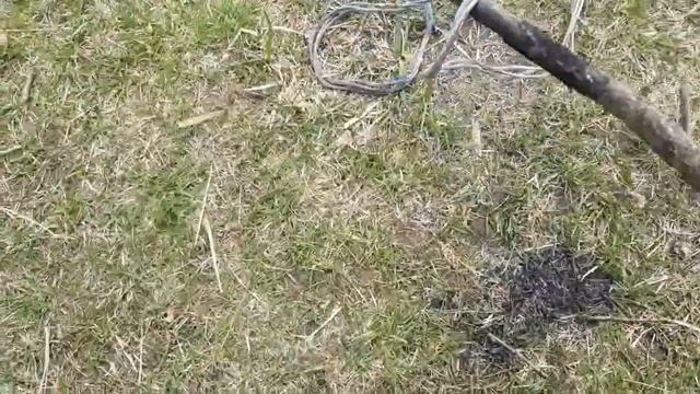 Как обжечь медные провода на костре. Какие потери и сколько можно заработать. смотреть онлайн