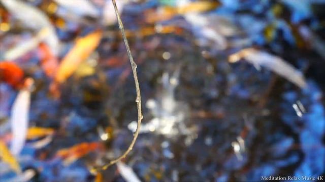 Звук капающей воды медитация под звуки капли. Звук капли воды || Water Drop Sound Meditation 1 hou смотреть онлайн