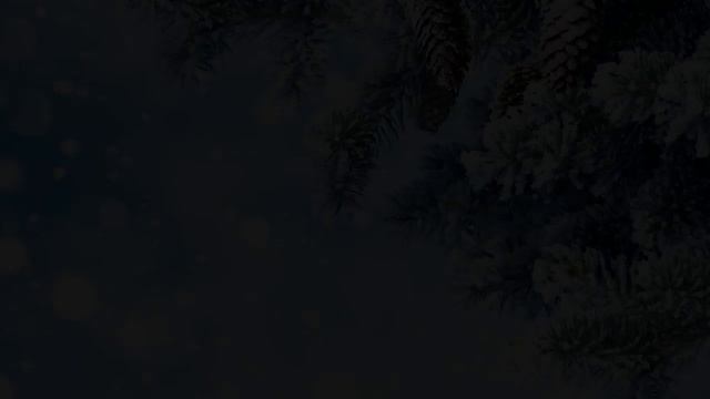 разнообразия природы родного края проект окружающий мир