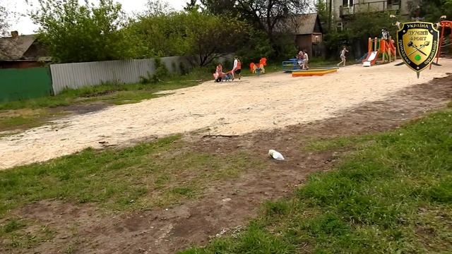 Продолжаем строить детскую площадку на "Черевковке"- ВМЕСТЕ! смотреть онлайн