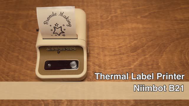 Он может пригодится каждому! Термопринтер для печати этикеток Niimbot B21 смотреть онлайн