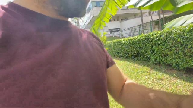 Как растут бананы