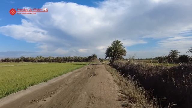Wat ligt er toch een bende langs de weg #Overwinteren #Spanje #027 | #REIZEN met de #CAMPER смотреть онлайн