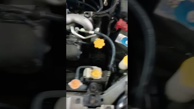 Куда уходит масло в Субару??
