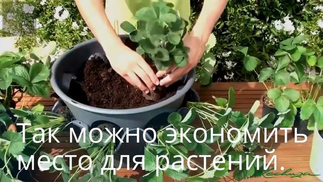 Как сэкономить место для высадки растений. смотреть онлайн