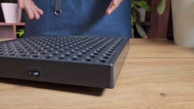 Выбираем свет для комнатных растений: мой опыт смотреть онлайн