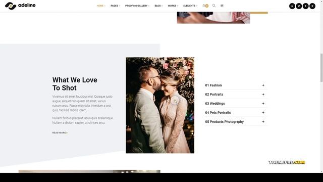 Adeline - Photography Portfolio Theme redux framework page builder Erena смотреть онлайн