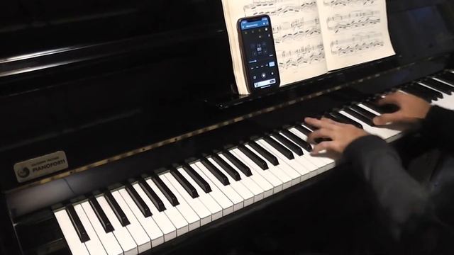 Chopin Op. 10 nr. 12 - Revolutionary Etude - Practice session with metronome (uncutted) смотреть онлайн