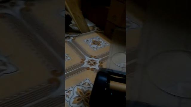 hướng dẫn thay mực máy in TSC245Plus смотреть онлайн