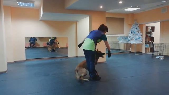 малинуа Айс Джос Закира немножко работаем) смотреть онлайн