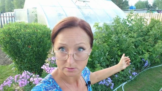 Видео привет с 6 соток 29 июля 2021 год. . смотреть онлайн