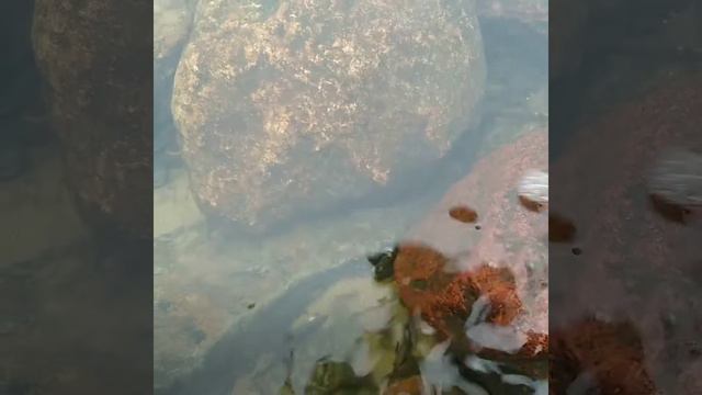 Очередная поездочка на рыбалку. смотреть онлайн