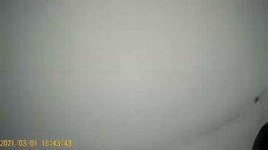 Покатушки на мотособаке?