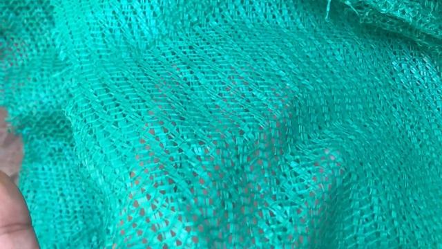 || HOW TO PREPARE SUCCULENT GARDERN FOR SUMMER || HOW TO SET UP TEMPORARY CANOPY FOR SUMMERS ||