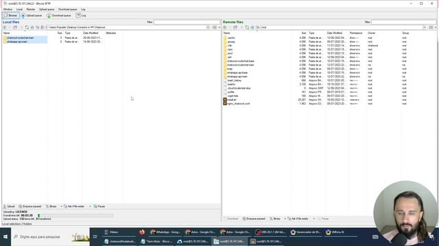 Expanda seu negócio - Aprenda a criar múltiplas empresas no Chatwoot com o Codechat смотреть онлайн