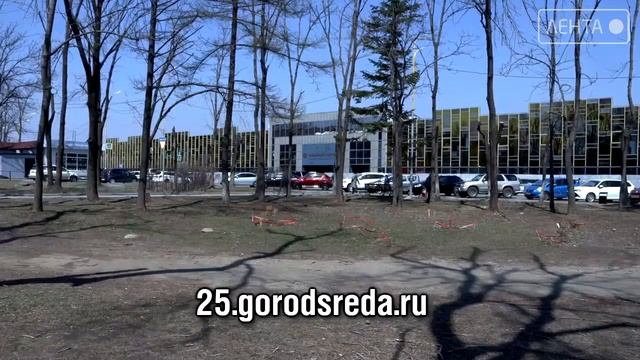 Менее 2х недель осталось у приморцев до конца голосования за скверы и парки смотреть онлайн