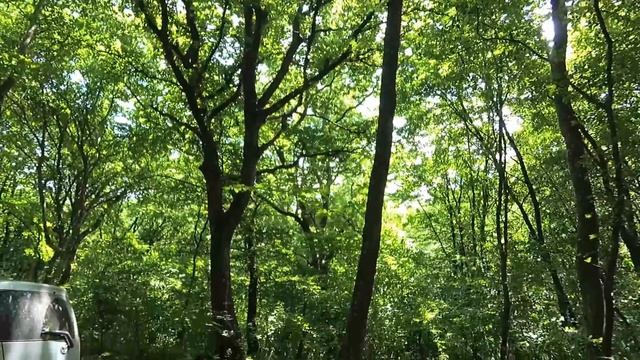 Игорёшкин день смотреть онлайн