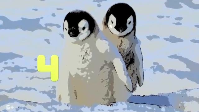 Топ 7 самых милых детенышей животных. Часть 2. Top 7 cutest baby animals. Part 2 смотреть онлайн