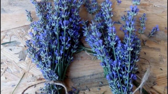 Строительные Приключения