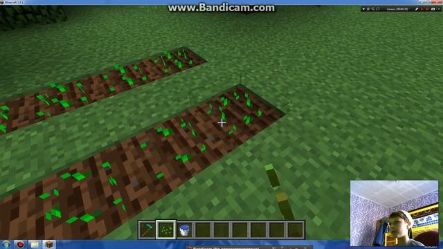 Как посадить пшеницу в майнкрафте? смотреть онлайн