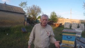Вывод маток от А  Стрельца 2 й этап Рамку матке под засев