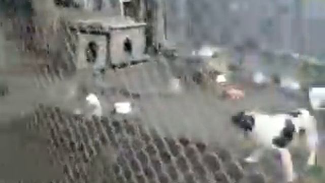 волонтёры Гомеля смотреть онлайн