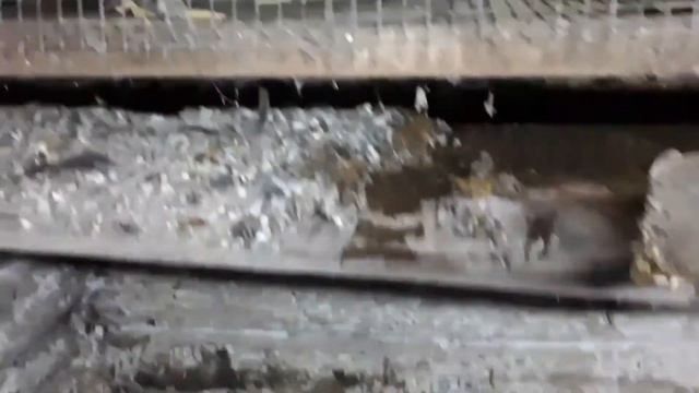 Чем пахнут деньги!!!! смотреть онлайн