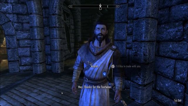 Avalar - WIP Skyrim Companion Mod смотреть онлайн