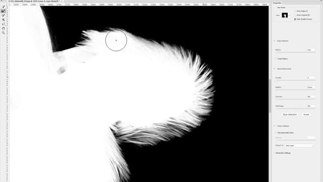 PHOTOSHOP I Refine Edge Brush in Select and Mask смотреть онлайн
