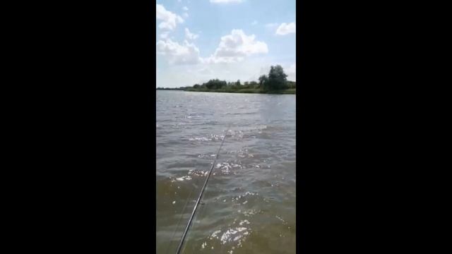 Отзыв благодарного клиента о моторе якоре Haswing cayman 55 GPS смотреть онлайн