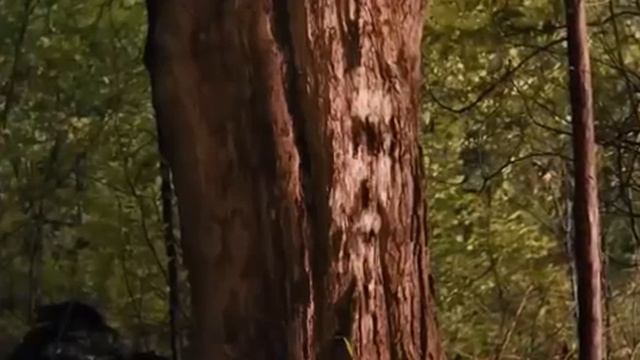 3 ÖDÜLLÜ KORKU FİLMİ   HD TÜRKÇE DUBLAJ FULL İZLE