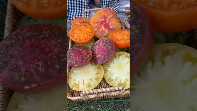 Не покупайте красные томаты! смотреть онлайн