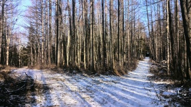 ТИХАЯ ОСЕНЬ смотреть онлайн