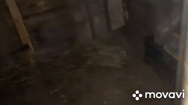 Сняли на скрытую камеру))) Вьетнамские поросята, козлята и куча навоза! смотреть онлайн