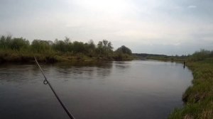 РЫБАЛКА В ТВЕРСКОЙ ОБЛАСТИ НА МЕДВЕДИЦЕ - Весенняя щука....