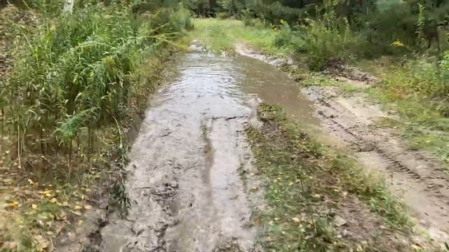 Покатухи на ЛуАЗе в лес смотреть онлайн
