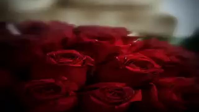 Viktors Lapčenoks - Sargies Vēja смотреть онлайн