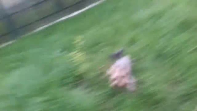 Моё счастье