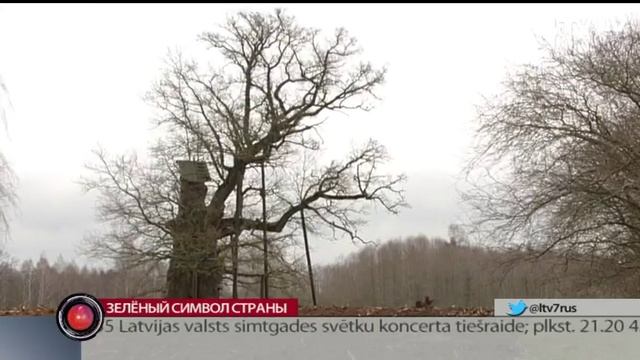 Зелёный символ страны смотреть онлайн
