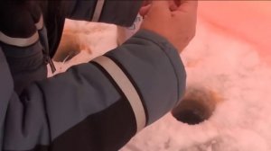 Как поймать плотву зимой на манку!!!