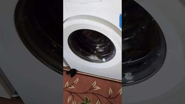 Beko distribution tumbles смотреть онлайн