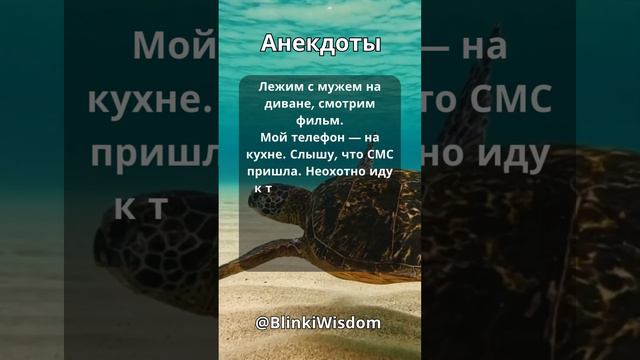 СМЕШНОЙ АНЕКДОТ ПРО СМЕКАЛКУ МУЖА #анекдоты #ржака #юмор #шутки #мем смотреть онлайн